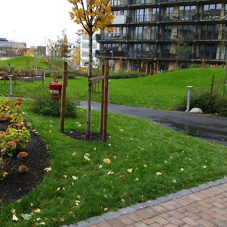 Golden Choice * אוסלו